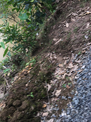 Top 13 cửa hàng kim giáp Huyện Trà Ôn Vĩnh Long 2022