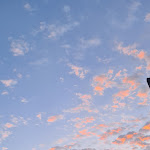 Photo n°1 de l'avis de Baycomard. fait le 29/08/2023 à 10:08 sur le  Hagedorn Hotel Alarun à Unterschleißheim