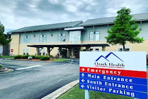 Ozark Health Medical Center image