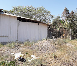 Real de Puerto Vallarta Garden photo