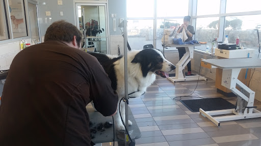 Pet Supply Store «Petco Animal Supplies», reviews and photos, 5994 Montana Ave, El Paso, TX 79925, USA