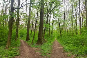 Berek Forestpark image