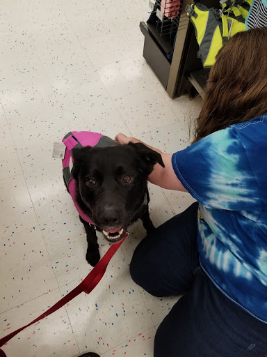 Pet Supply Store «Petco Animal Supplies», reviews and photos, 27111 167th Pl SE #113, Covington, WA 98042, USA