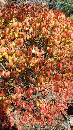 Grocery Store «ACME Markets», reviews and photos, 829 Montgomery Ave, Penn Valley, PA 19072, USA