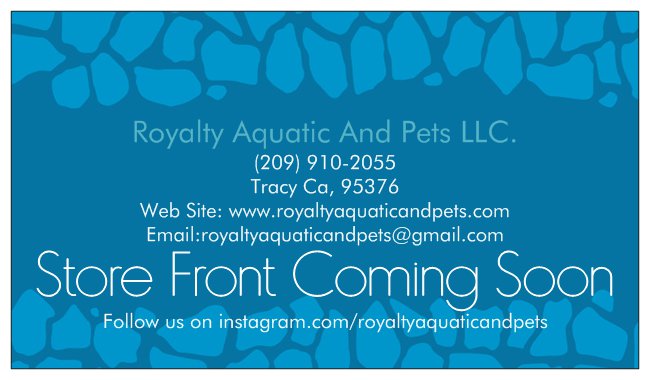 Royalty Aquatic And Pets