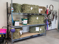 Old Dominion Hay - Photo 3 - Car repair in Smithfield, VA, Newport News