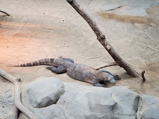 Zoo «Minnesota Zoo», reviews and photos, 13000 Zoo Blvd, Apple Valley, MN 55124, USA