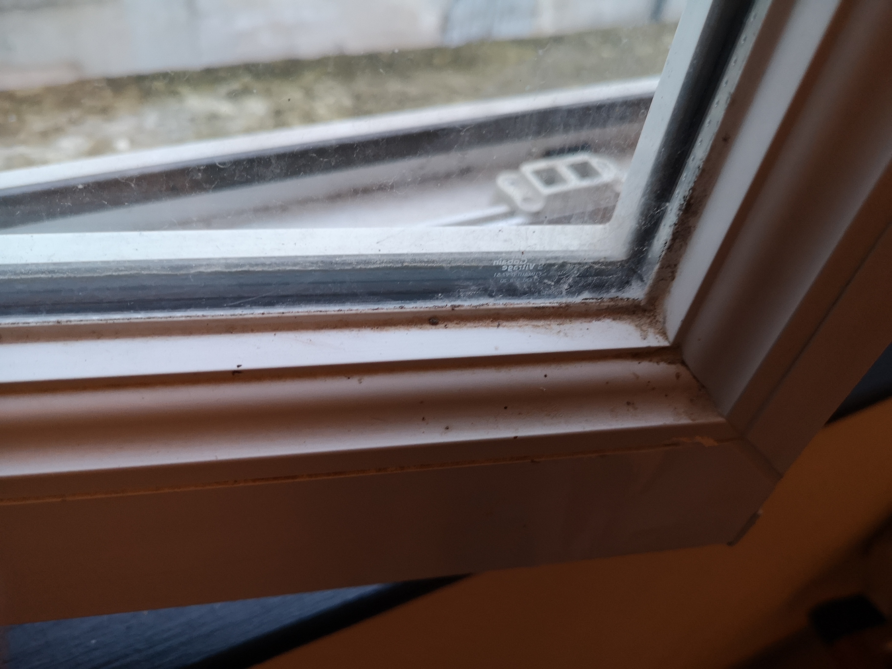 Photo n° 1 de l'avis de Moyick.o fait le 16/03/2021 à 14:33