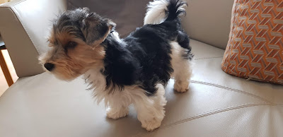 Teyssier Jean-Marie à Annecy