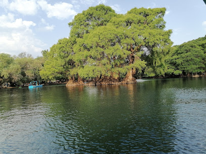 Lago de Camécuaro