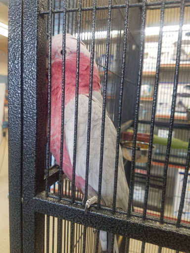 Pet Store «Fins Feathers Paws & Claws», reviews and photos, 436 Main St, Harleysville, PA 19438, USA