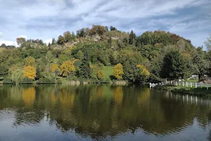 Lacul Nucsoara image
