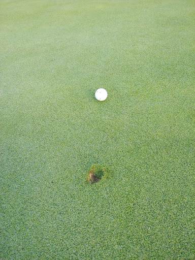 Public Golf Course «Dearborn Hills Golf Course», reviews and photos, 1300 S Telegraph Rd, Dearborn, MI 48124, USA