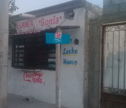 Quinta Primavera photo