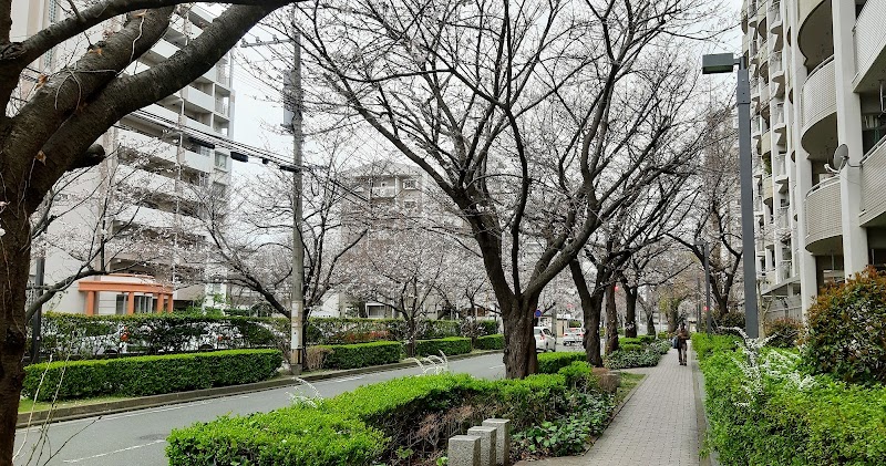 アーベインルネス梅光園