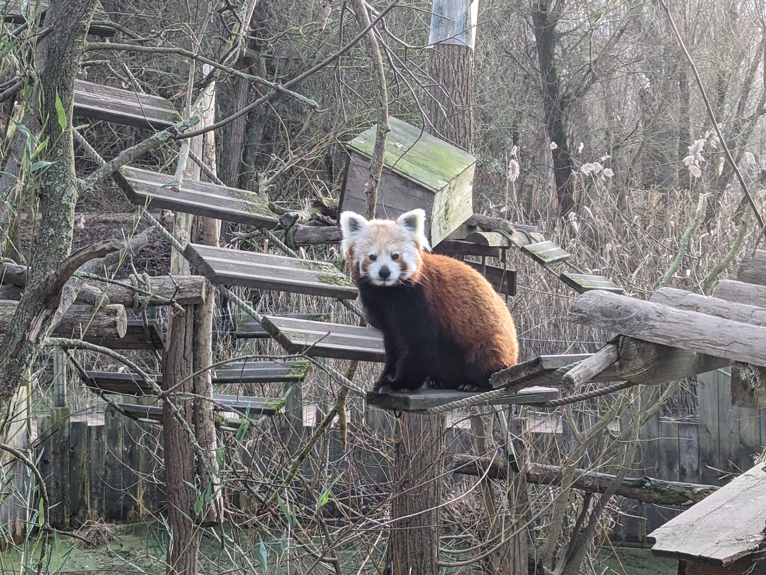 Photo n° 2 de l'avis de Delphine.e fait le 15/01/2019 à 13:51