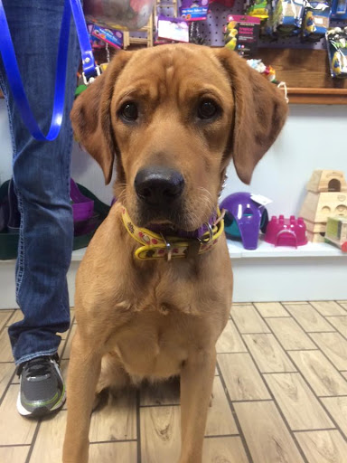 Pet Store «Pets of Portage», reviews and photos, 2219 W Wisconsin St, Portage, WI 53901, USA