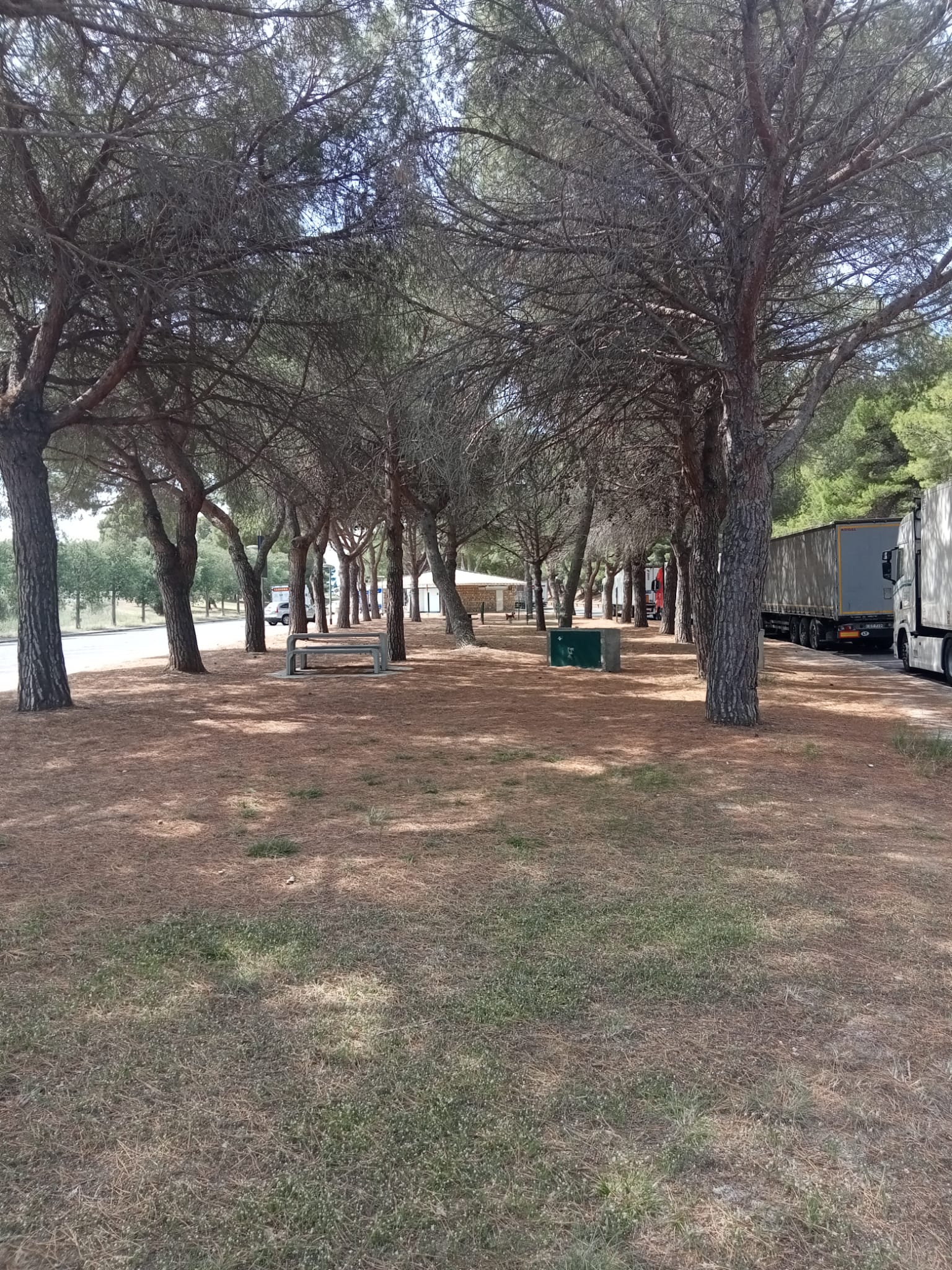 Photo n° 5 de l'avis de Emiliano.a fait le 14/06/2023 à 07:25