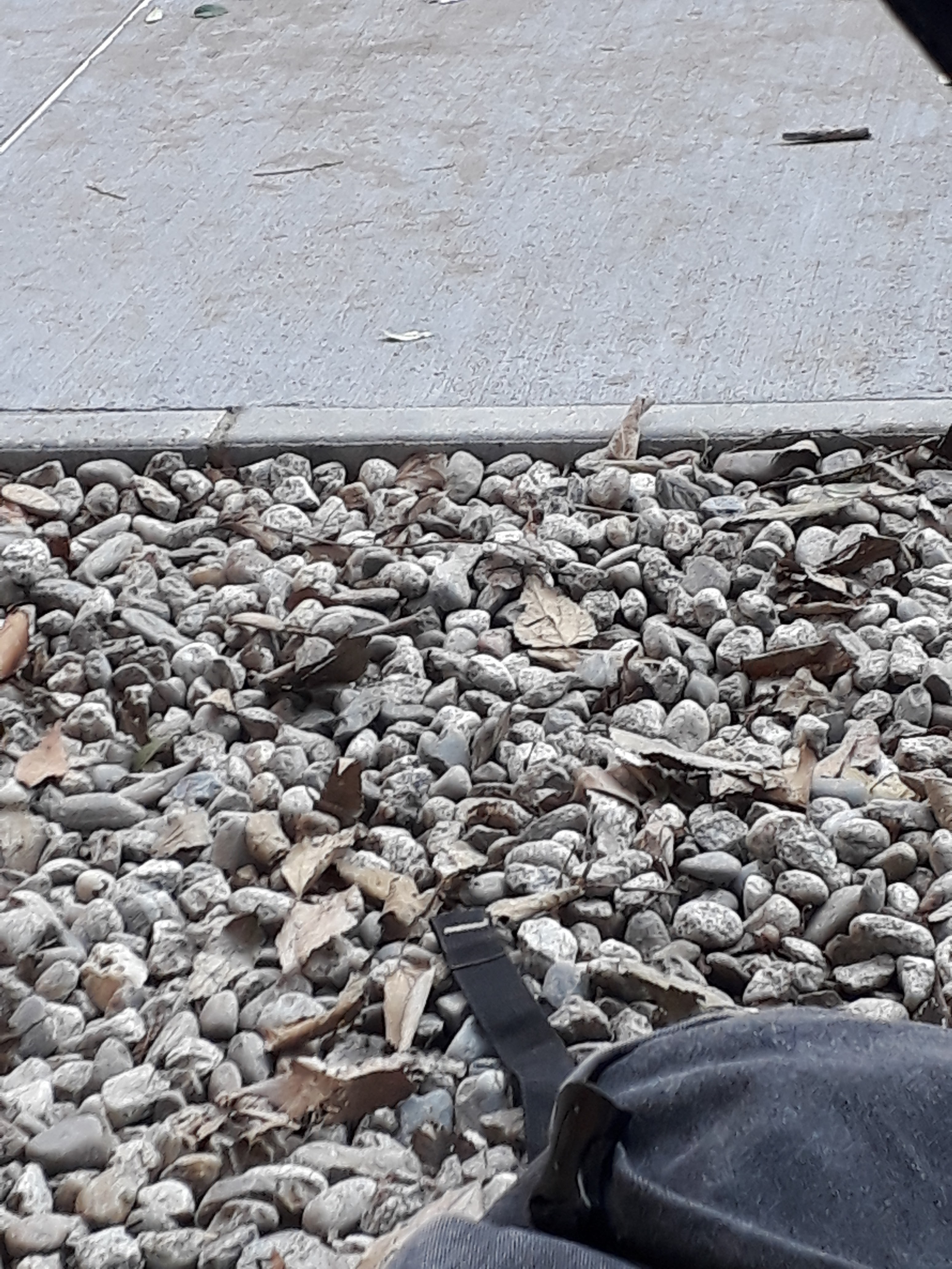 Photo n° 16 de l'avis de William.m fait le 11/12/2018 à 12:09
