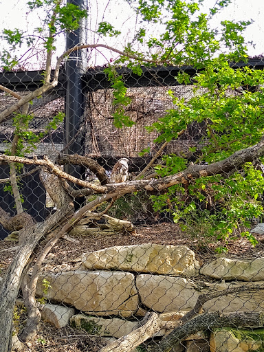 Zoo «Kansas Wildlife Exhibit», reviews and photos, 600-630 Nims N, Wichita, KS 67203, USA