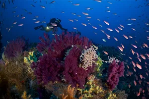 Argentario Divers image