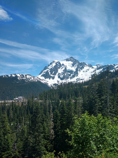 Thrift Store «Value Village», reviews and photos