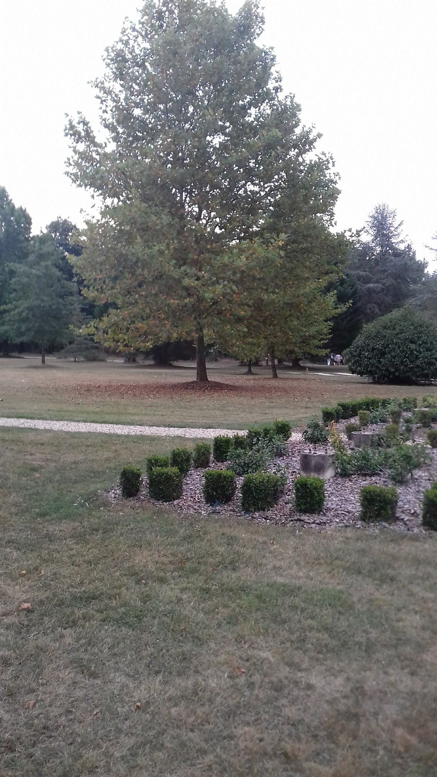 Photo n° 2 de l'avis de Christian.o fait le 30/08/2017 à 05:27