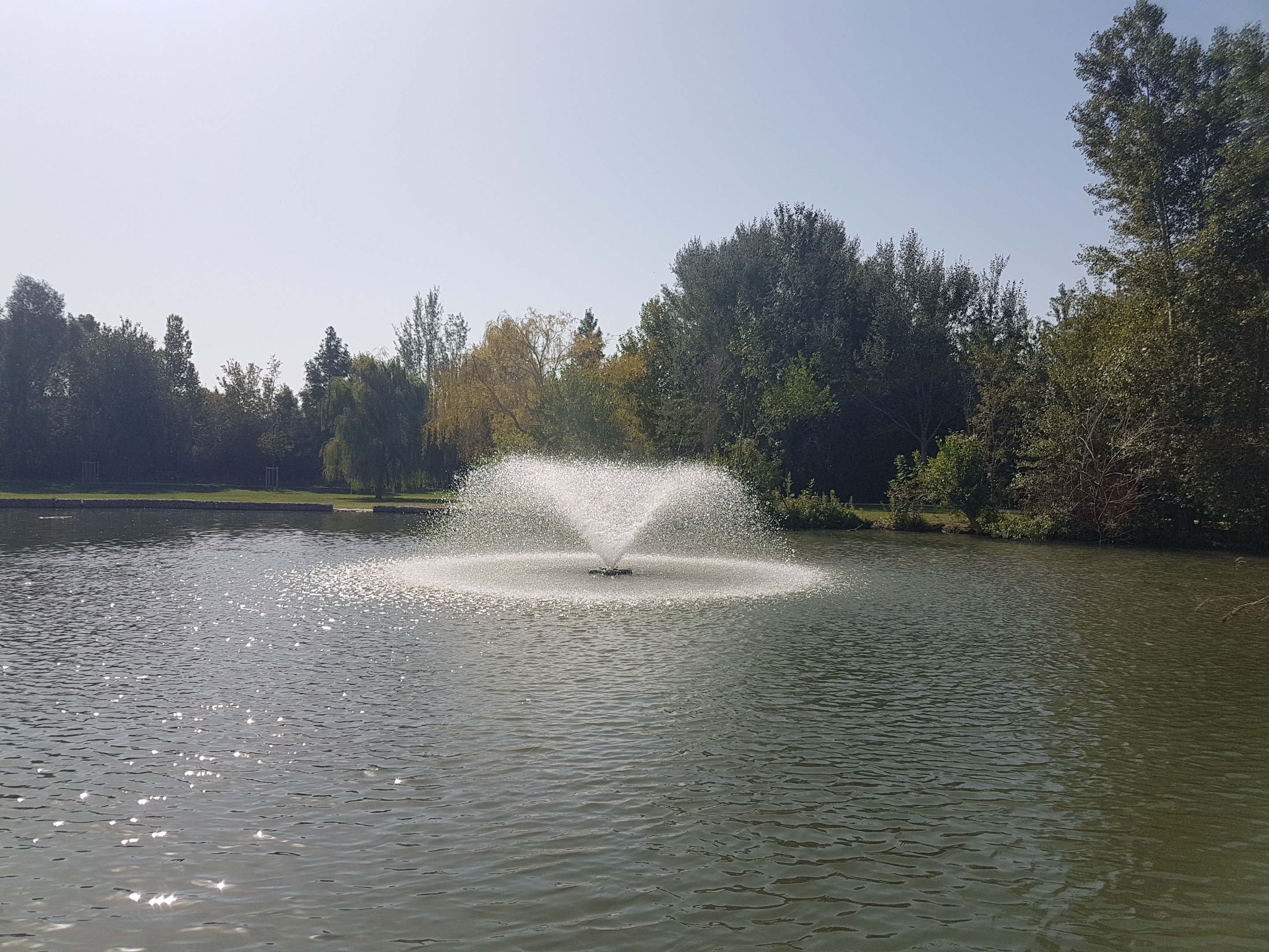 Photo n° 1 de l'avis de Aurore.e fait le 18/09/2019 à 13:55