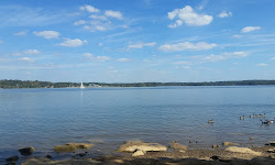 Percy Priest Lake