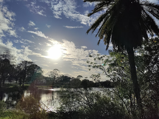 Nature Preserve «Black Hammock Wilderness Area», reviews and photos, 3276 Howard Ave, Oviedo, FL 32765, USA