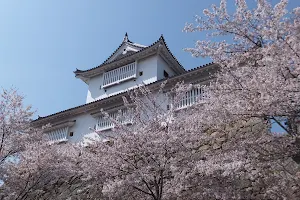 Tsuyama Castle image