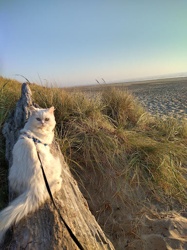 Pet Store «Bowwow Meow», reviews and photos, 456 SW Bay Blvd, Newport, OR 97365, USA