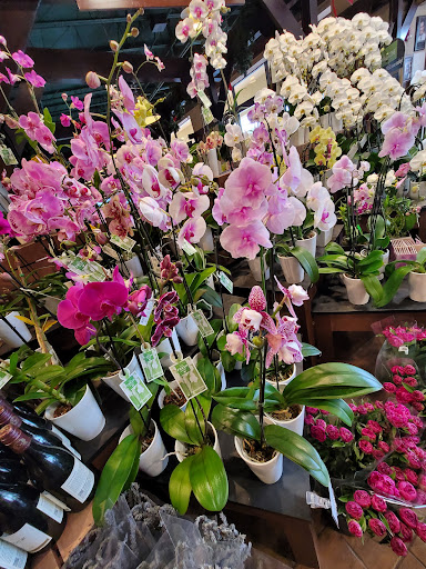 Grocery Store «The Fresh Market», reviews and photos, 3722 Henderson Blvd, Tampa, FL 33609, USA