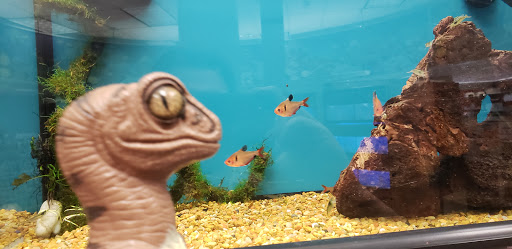 Pet Supply Store «Petco Animal Supplies», reviews and photos, 7721 Mentor Ave, Mentor, OH 44060, USA