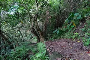 Zuocang Trail image