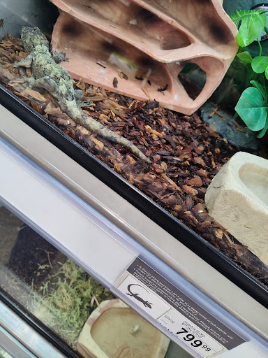 Pet Supply Store «Petco Animal Supplies», reviews and photos, 5006 NY-23 #1b, Oneonta, NY 13820, USA