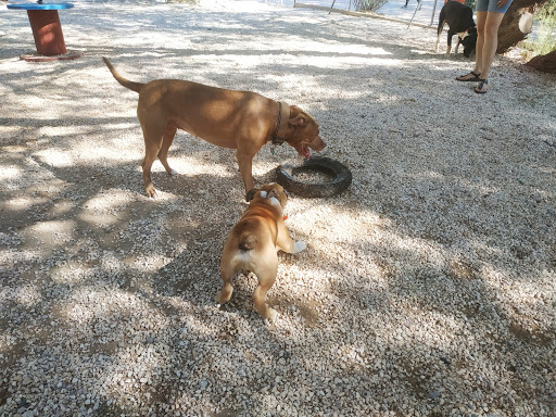 Πάρκο Σκύλων Φλοίσβου
