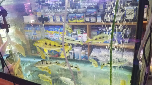 Pet Supply Store «New Lucky Fish Aquarium & Pet Supply», reviews and photos, 4818 8th Ave, Brooklyn, NY 11220, USA