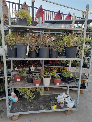 Department Store «Walmart Supercenter», reviews and photos, 1501 SW Wanamaker Rd, Topeka, KS 66604, USA