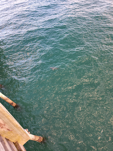 Fishing Pier «The Pier At Garden City», reviews and photos, 110 S Waccamaw Dr, Murrells Inlet, SC 29576, USA
