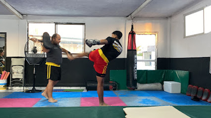 Wushu SANDA. Adrenaline Fight Gym - Blvd. Gral. Agustín Olachea esq-2do. Piso, Privada las Garzas, 23079 La Paz, B.C.S., Mexico