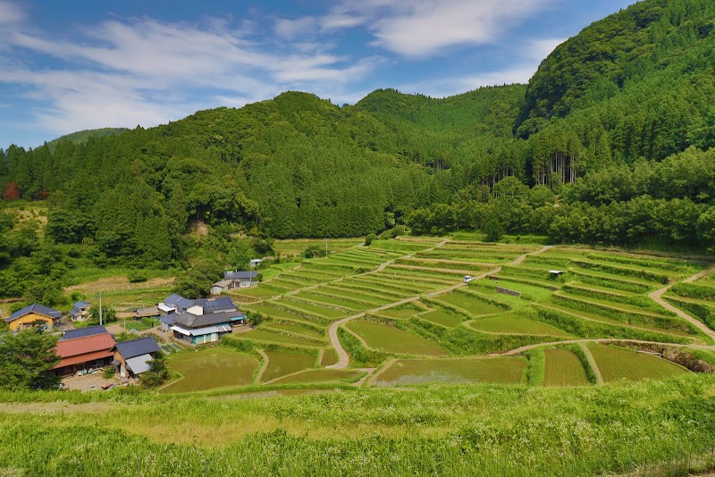 山浦早水棚田展望所