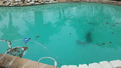 Aeon Blue Pool & Spa