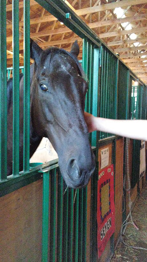 Museum «Marshall County Historical», reviews and photos, 808 E Johnson Ave, Warren, MN 56762, USA