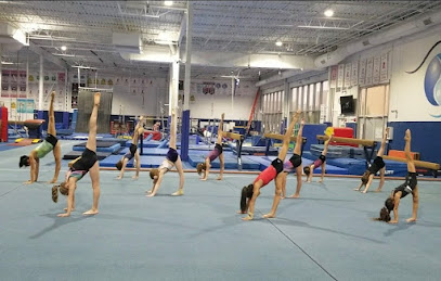 IK Gymnastics (Gym B) - 2500 W Bradley Pl C, Chicago, IL 60618