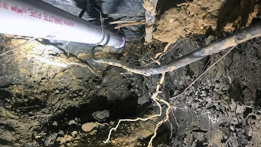 Plumber «In-House Plumbing & Services, LLC», reviews and photos, 601 N 1st St, Garland, TX 75040, USA