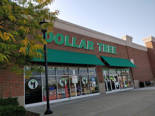 Dollar Store «Dollar Tree», reviews and photos, 4912 S Baldwin Rd, Orion Charter Township, MI 48359, USA