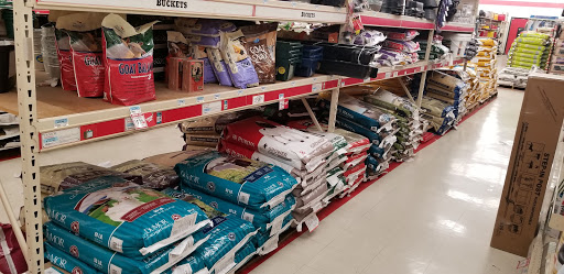 Home Improvement Store «Tractor Supply Co.», reviews and photos, 398 NJ-57, Washington, NJ 07882, USA