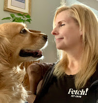 Fetch Pet Care Wheaton - Photo 7 - Car repair in Wheaton, IL, Aurora