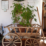 Photo n°2 de l'avis de Fabio.r fait le 27/12/2018 à 22:15 sur le  Fior di bosco à Livigno